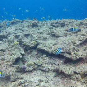 7月も最終日です⑅︎◡̈︎*の画像