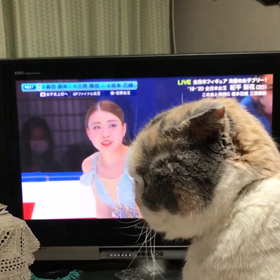 真剣にみて居ますの画像