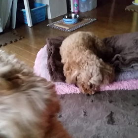 雨の土曜日。の画像
