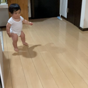 歩いてる(〃ω〃)の画像