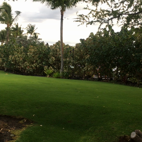 ハワイ島 自然の力強さの画像