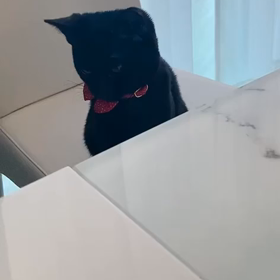 実はの画像