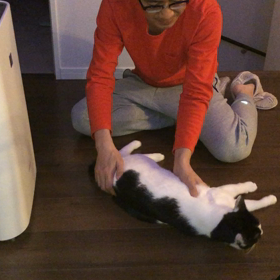 動じないの画像