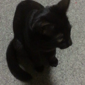 職業訓練３４日目の画像