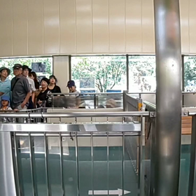 上野動物園モノレール［上野懸垂線］車窓の画像