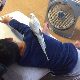 シャッター音の画像