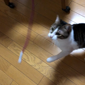 首が痛くて頭が痛い！メルカリ！デール紐遊び動画の画像