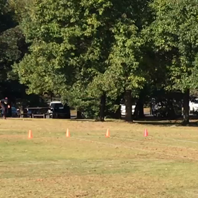 チャレンジカップリレー練習 30の画像