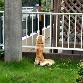 制御不能❗の画像