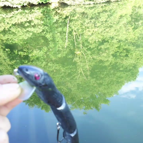 遊路流蛇陀(ジャダ)動画の画像