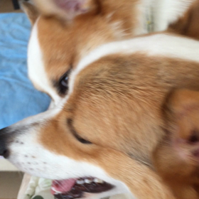 口喧嘩？の画像