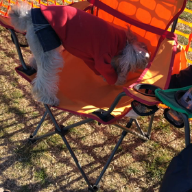 まさかのエンディング:(；ﾞﾟ'ωﾟ'):Σ(￣。￣ﾉ)ﾉ  とプリマのホリホリ先週も・・・^_^;の画像