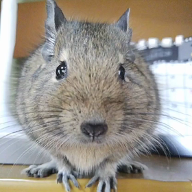 朝からステーキと栄養ドリンク！それでもの画像