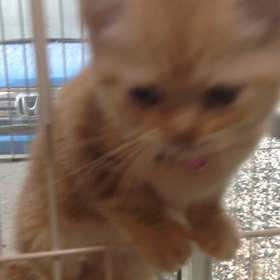 ♡人生は下ばかり見ていたら何もない♡の画像