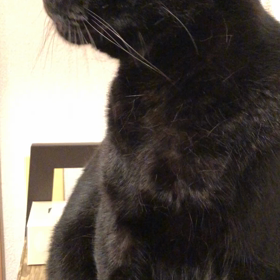 パパのエステで仲直りの画像