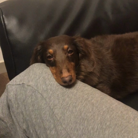 催眠術の練習の画像