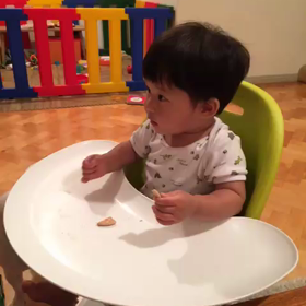 孫とぶーちゃんの画像