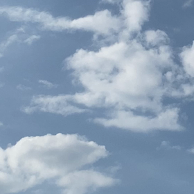 2021年7月　大阪に来て、感じた事　①　（蝉の声）の画像