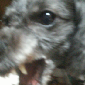 お着替えの画像