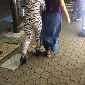 なすの冒険の画像