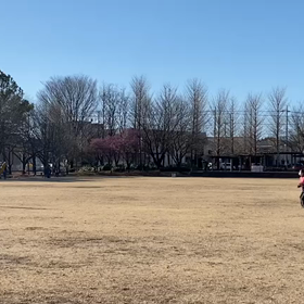 特別練習 B 学年別インターバル④の画像