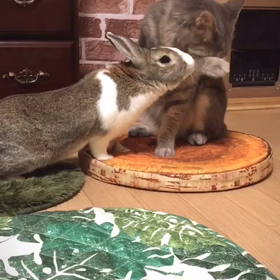 ちょいちょいちょーい♡の画像