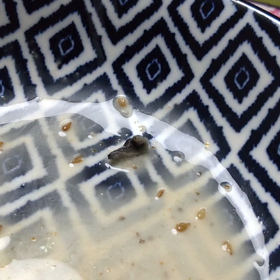 タイ入国　１９ヶ月目　ある日の夕食の画像