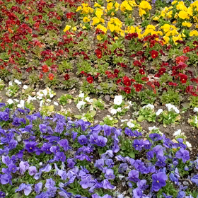 大通公園の画像