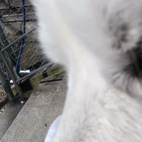 ポカポカ☆ピカピカの画像