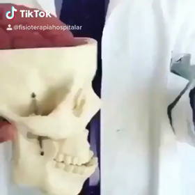 脳震盪が心身に与える深刻な影響！！の画像