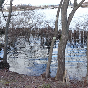 初詣寄り道おまけの画像