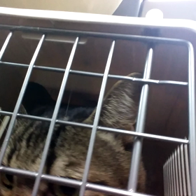 タイムリミット。続きの画像