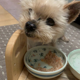 ハッピーたん…突然に。の画像