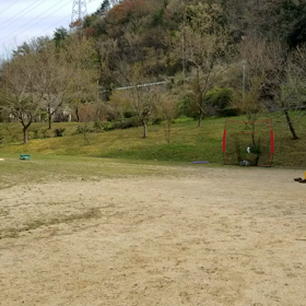 優勝ごっこの画像