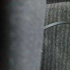 花は咲くの画像