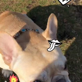 今日のつよちインスタストーリーの画像