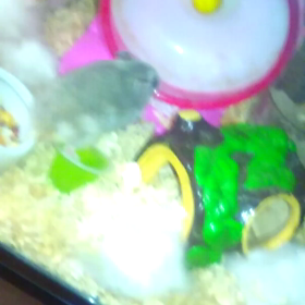 環境の変化。の画像