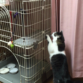 全盲であることの唯一の弊害の画像