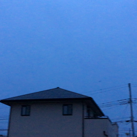 ばーど？ばっど？の画像