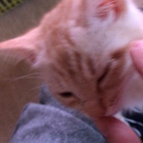 青葉ちゃん☺️の画像