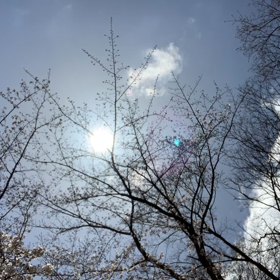 タイムラプスは　おかし　たのしの画像