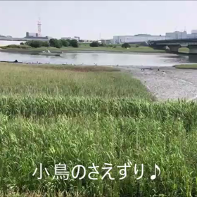 ほっこり話　小鳥のさえずりの画像