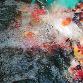 えーす池の画像