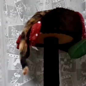 お返事は尻尾での画像