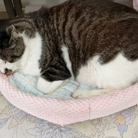 色々比較されてたみたいだけどさの画像