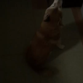 寝かしつけ失敗、、。の画像