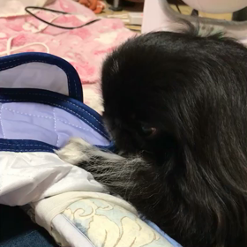 しんじつ…*\(^o^)/*の画像