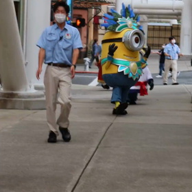 ミニオンちゃんの大行進動画♪(´ε｀ )の画像