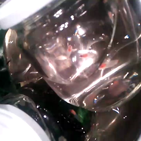 クリオネの画像