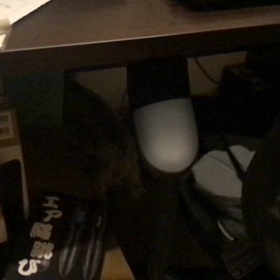 めざといの画像